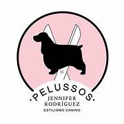 curso peluquería canina valencia